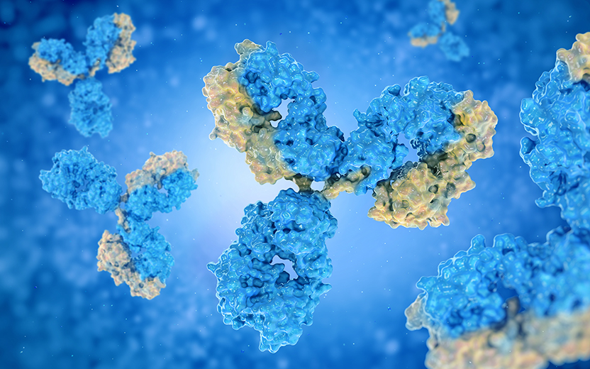 藥物安全性評價(jià)服務(wù)