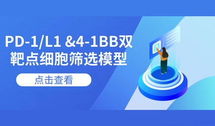 PD-1/L1 &4-1BB雙靶點(diǎn)細胞篩選模型