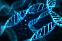 轉座子整合穩定細胞株