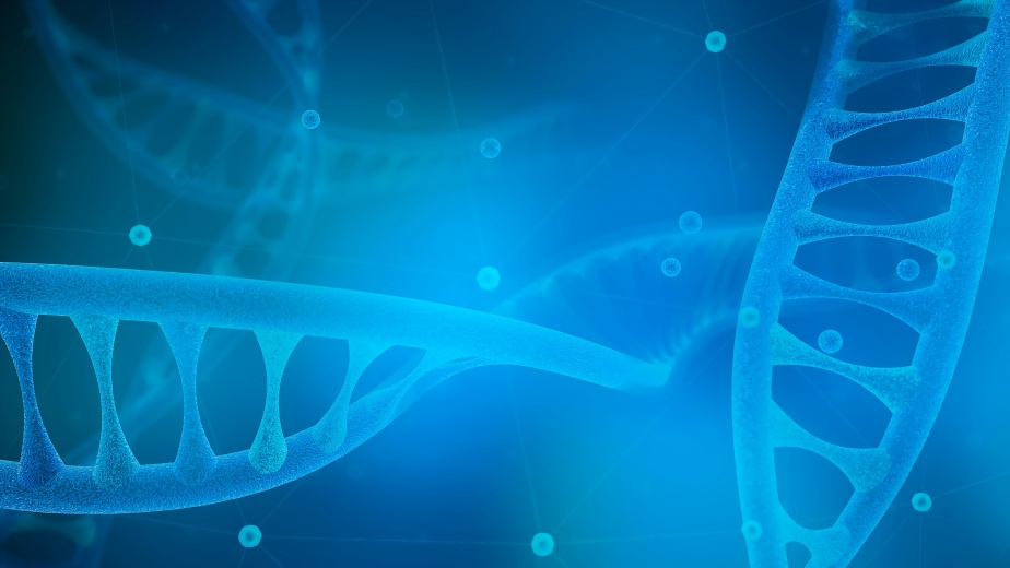 Kinase靶點(diǎn)模型構建