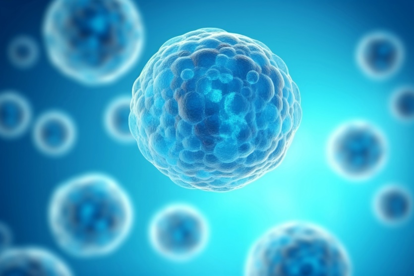 免疫治療靶點(diǎn)模型構建